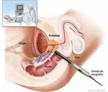 Guía de pacientes